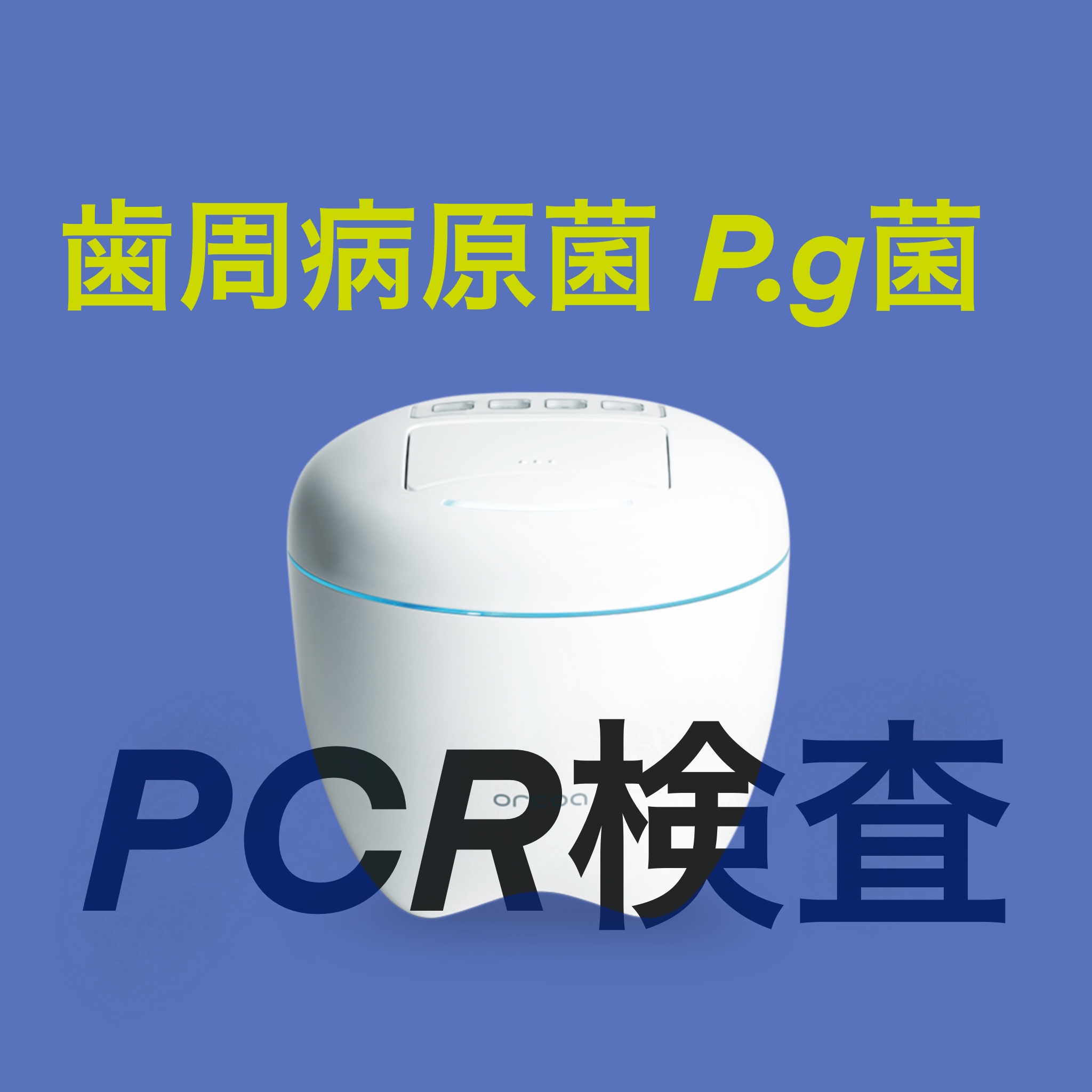 歯周病専門医ブログ⑩歯周病原菌のPCR検査